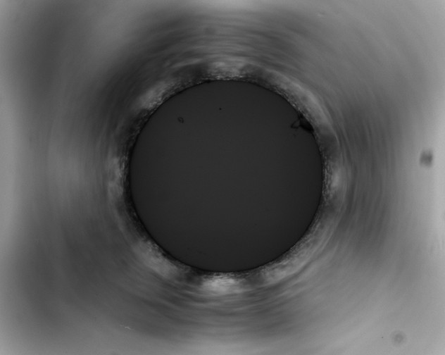 X0000103130759200809191941