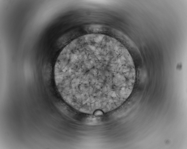 X0000103130760200809191941