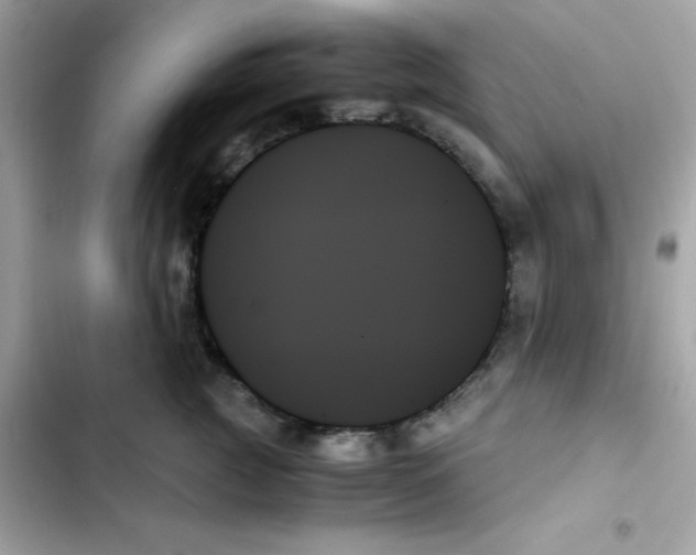 X0000103130761200809191941