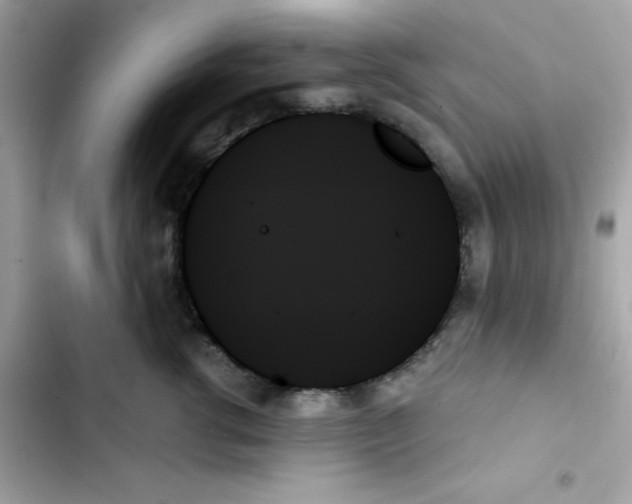 X0000103130762200809191941