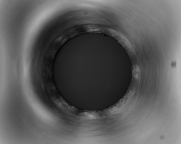 X0000103130763200809191941