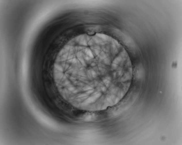 X0000103130764200809191941