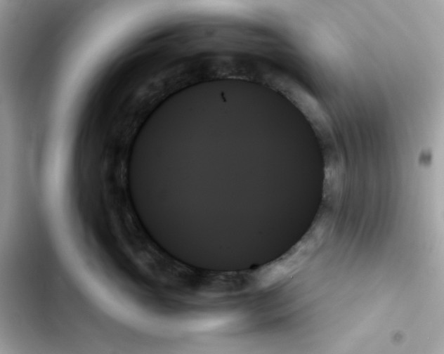X0000103130765200809191941