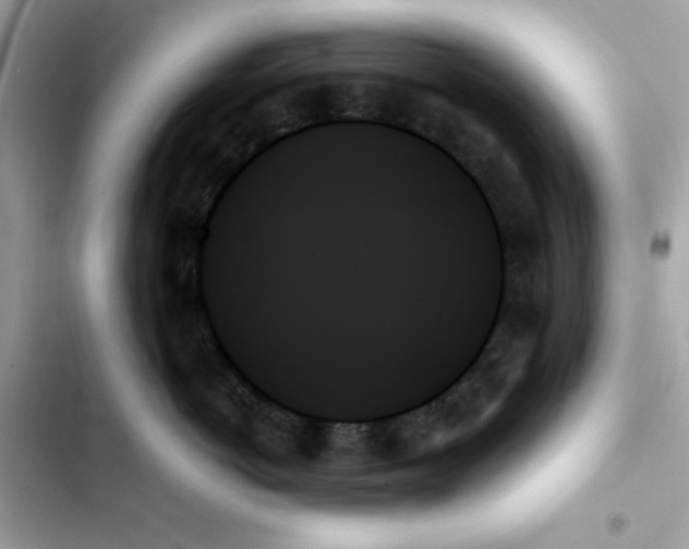 X0000103130766200809191941