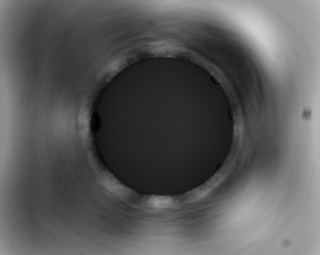 X0000103130767200809191941