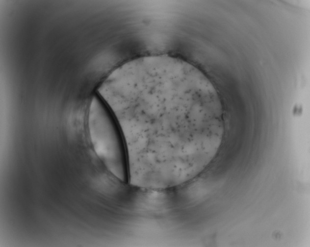 X0000103130768200809191941