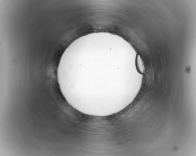 X0000103130770200809191940