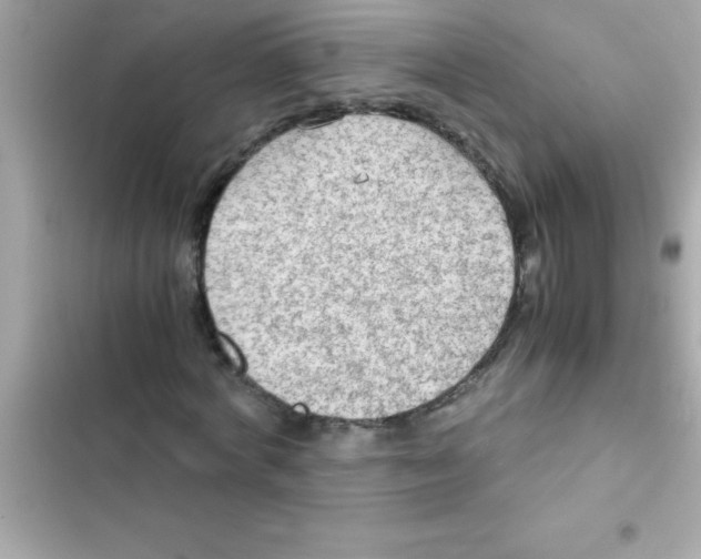 X0000103130772200809191940