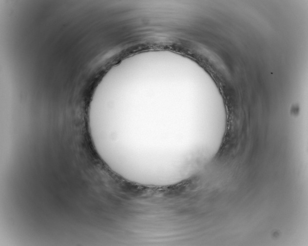 X0000103130773200809191940