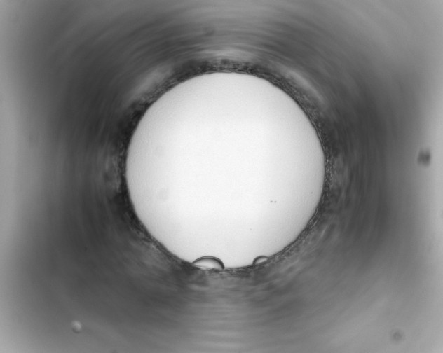 X0000103130774200809191940