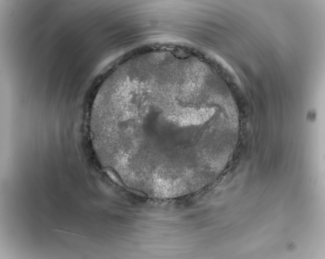 X0000103130775200809191940