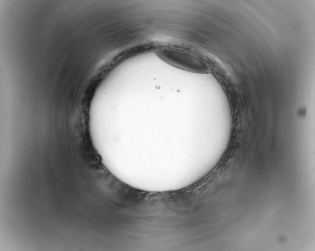 X0000103130776200809191940