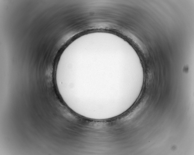 X0000103130778200809191940