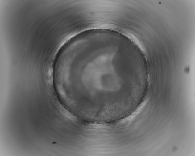 X0000103130781200809191940