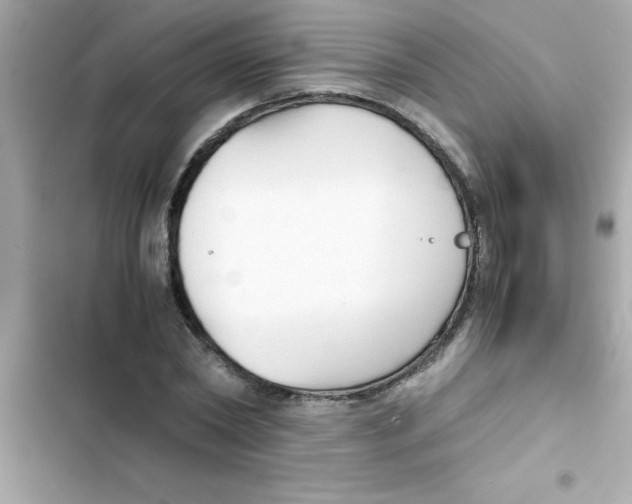 X0000103130782200809191940