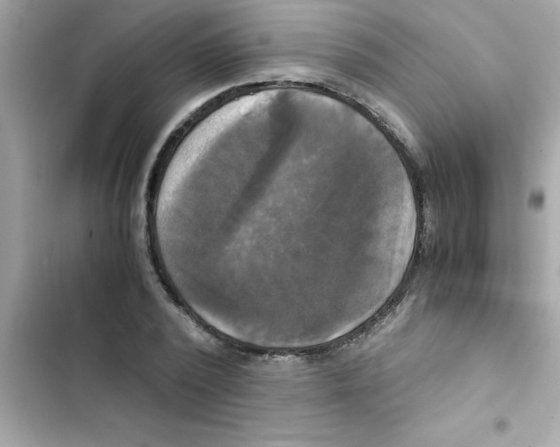 X0000103130784200809191940