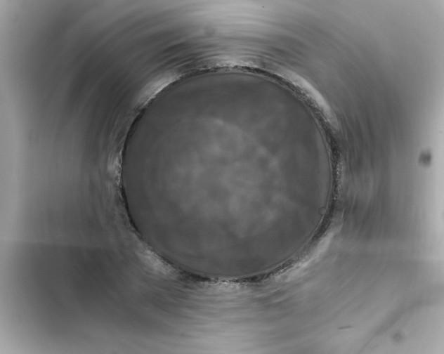 X0000103130785200809191940