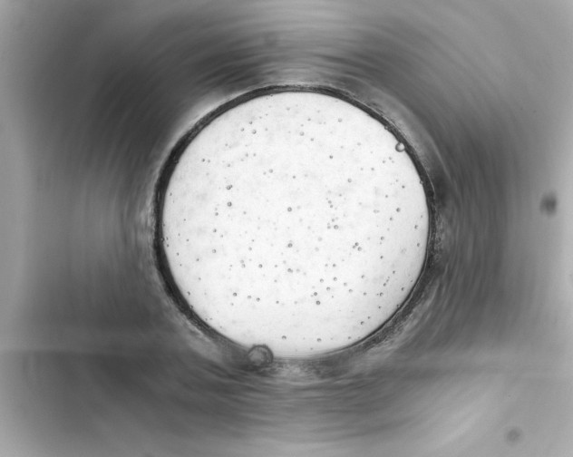 X0000103130787200809191940