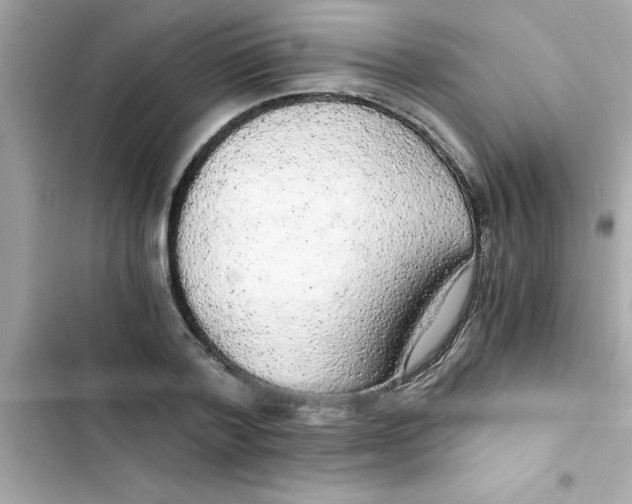 X0000103130788200809191940