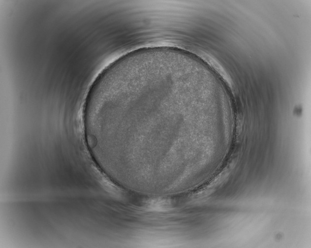 X0000103130789200809191940