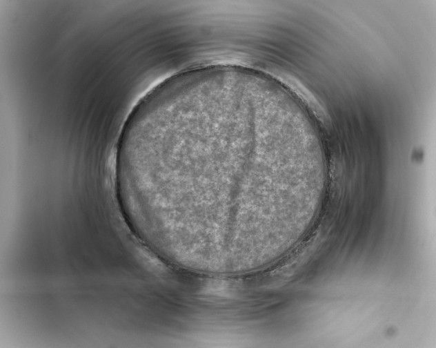 X0000103130790200809191940