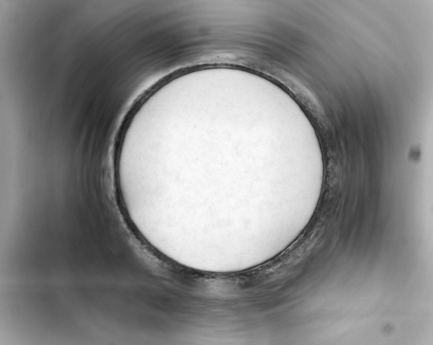 X0000103130792200809191940