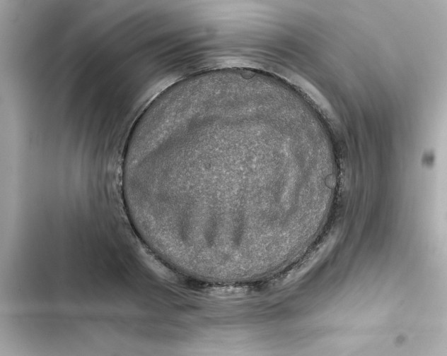 X0000103130793200809191940