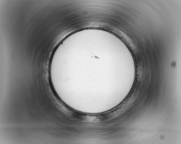 X0000103130794200809191940
