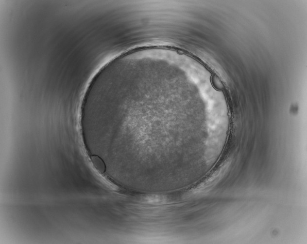 X0000103130797200809191940