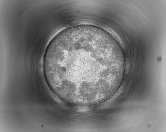 X0000103130798200809191940