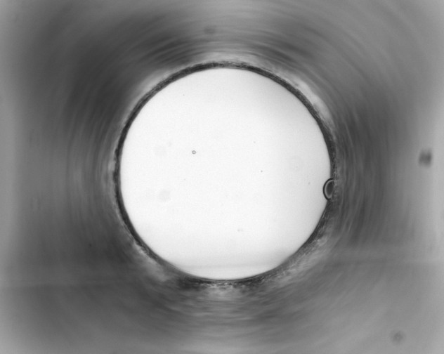 X0000103130799200809191940