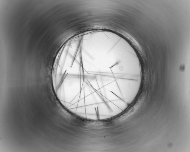 X0000103130801200809191940