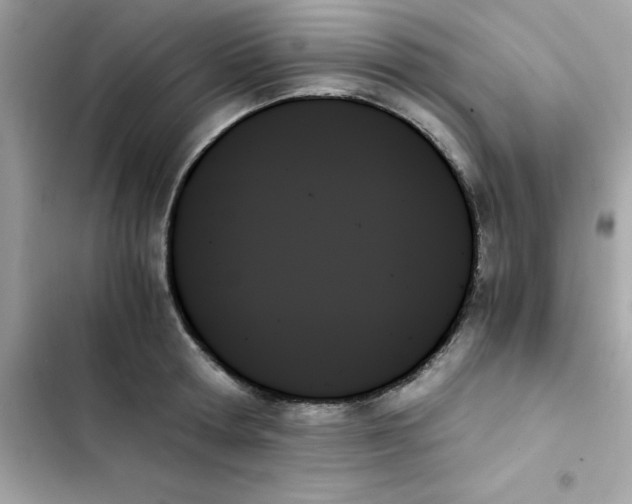 X0000103130802200809191940