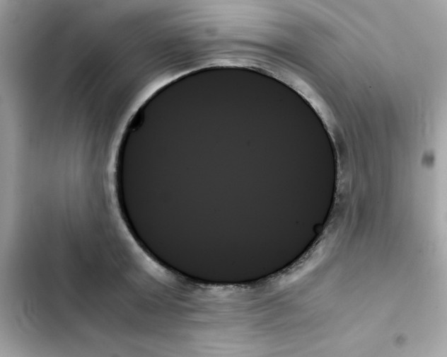 X0000103130803200809191940