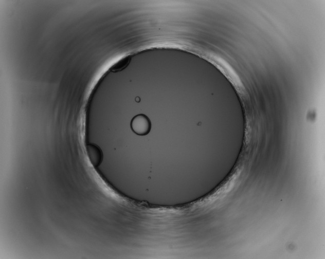 X0000103130804200809191940