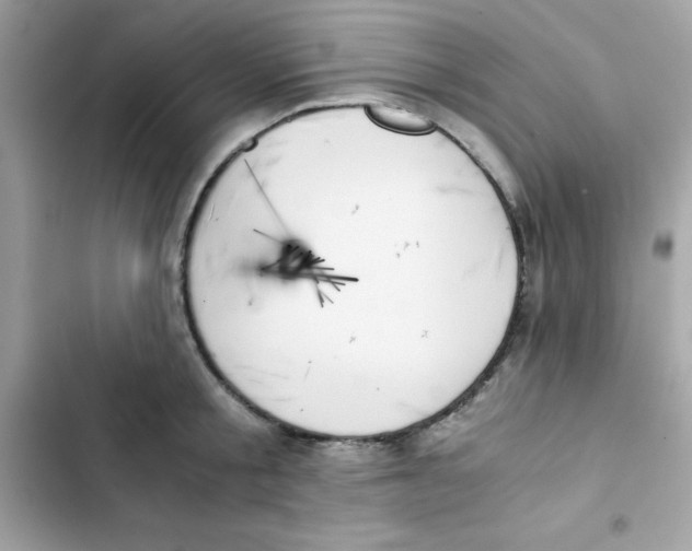 X0000103130805200809191940
