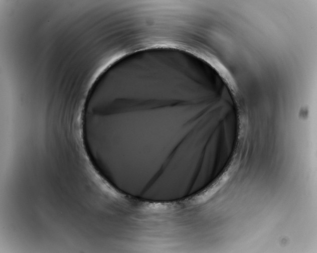 X0000103130806200809191940