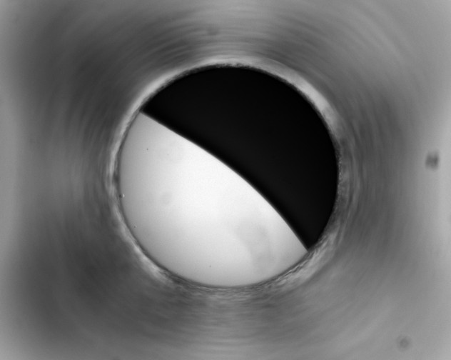 X0000103130807200809191940