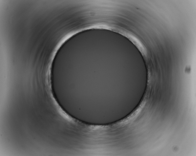 X0000103130808200809191940