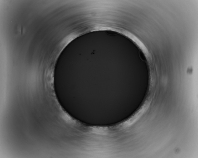 X0000103130809200809191940