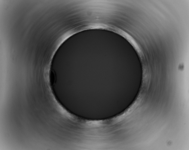 X0000103130810200809191940