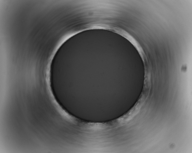 X0000103130811200809191940