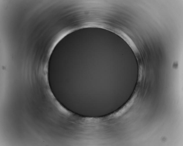 X0000103130812200809191940