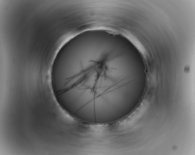 X0000103130813200809191940