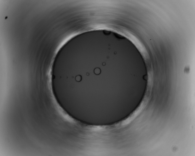 X0000103130814200809191940