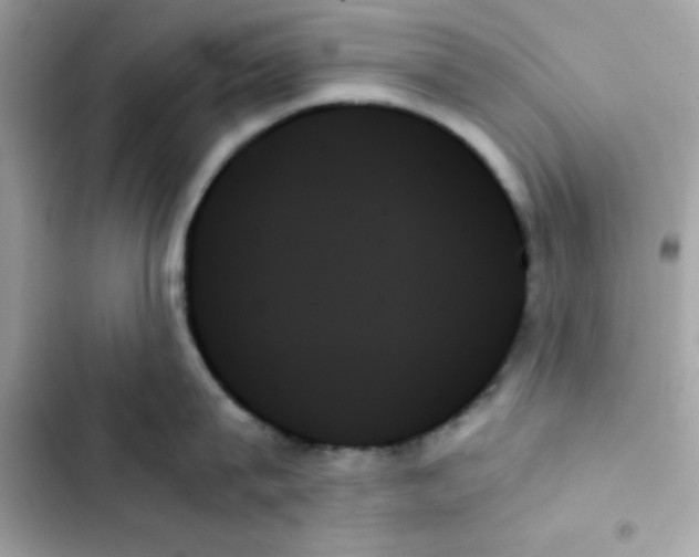 X0000103130815200809191940