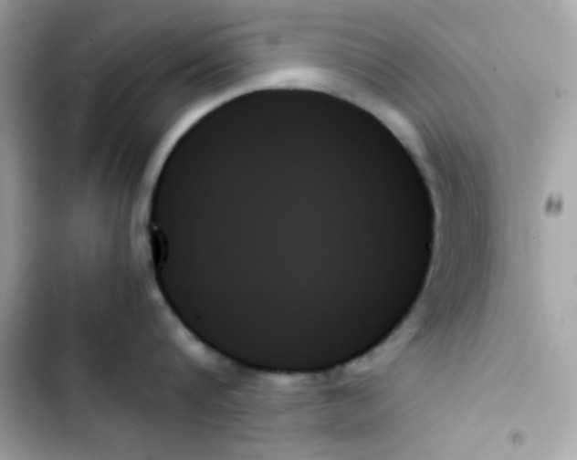 X0000103130816200809191940