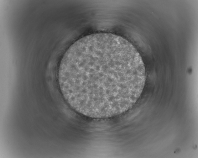X0000103130817200809191939