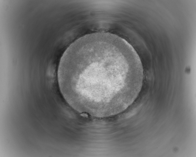 X0000103130818200809191939
