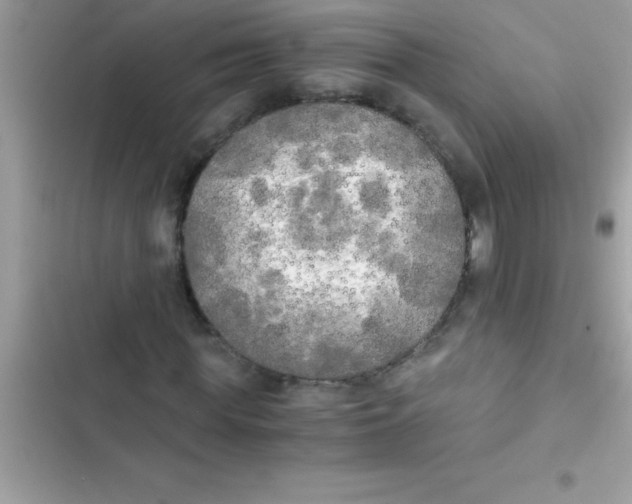 X0000103130819200809191939
